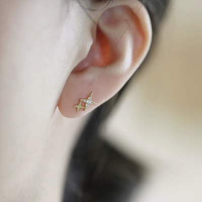 Orecchini a Stella Scintillante